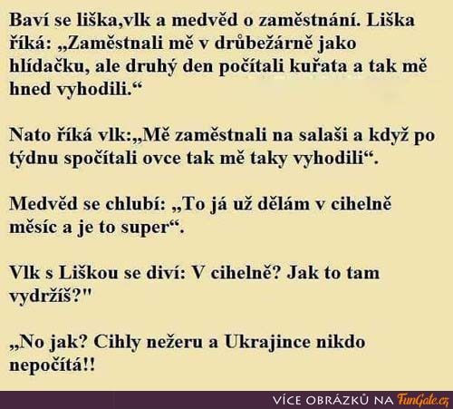 Medveď vie